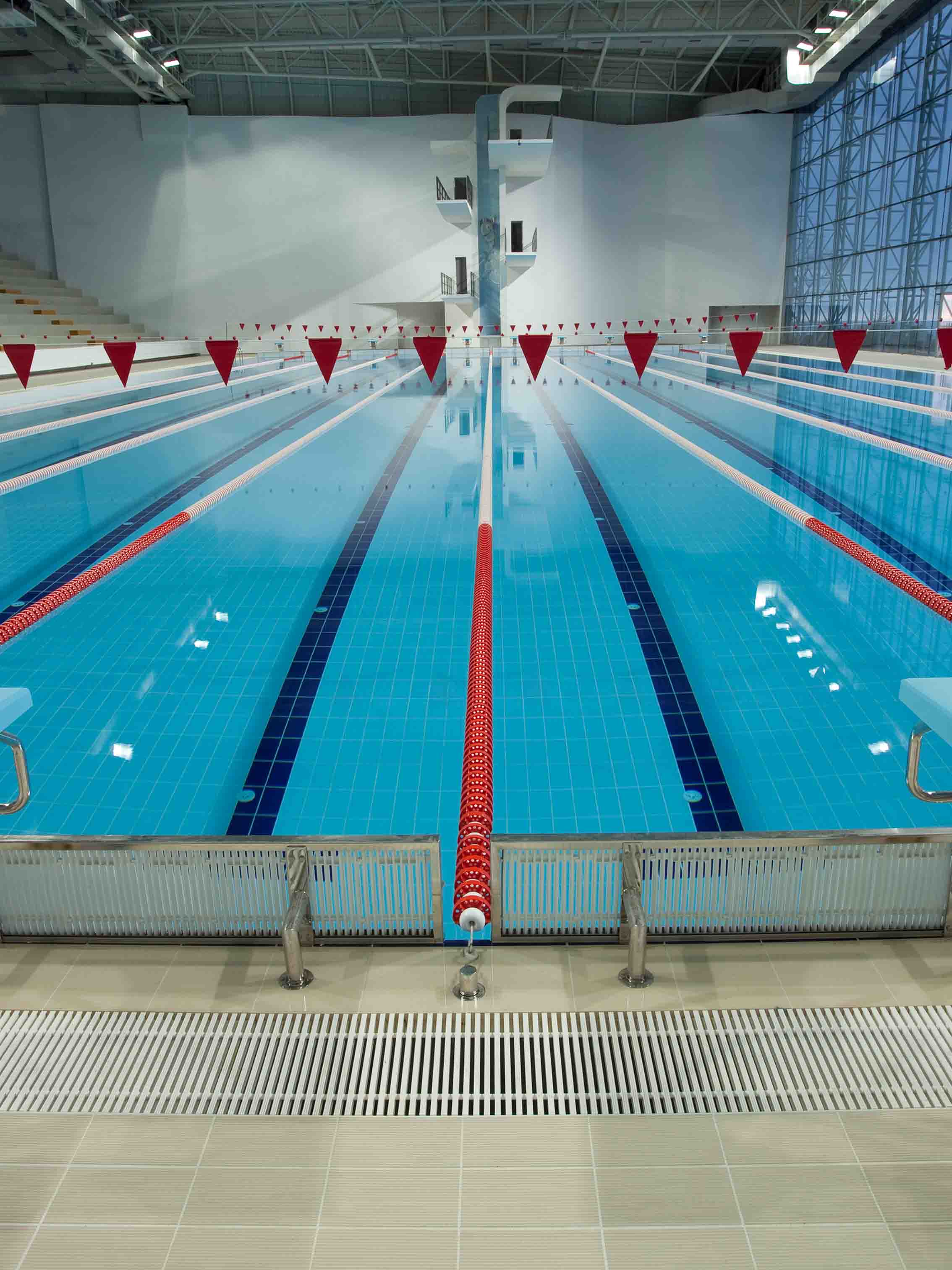 Unleash Athletic Grandeur: Sauna Dekor's Landsmeer Olympic Pool, a Designer's Triumph
